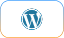 WordPress website development by Websoft IT Services