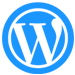 WordPress website development services by Websoft IT Services